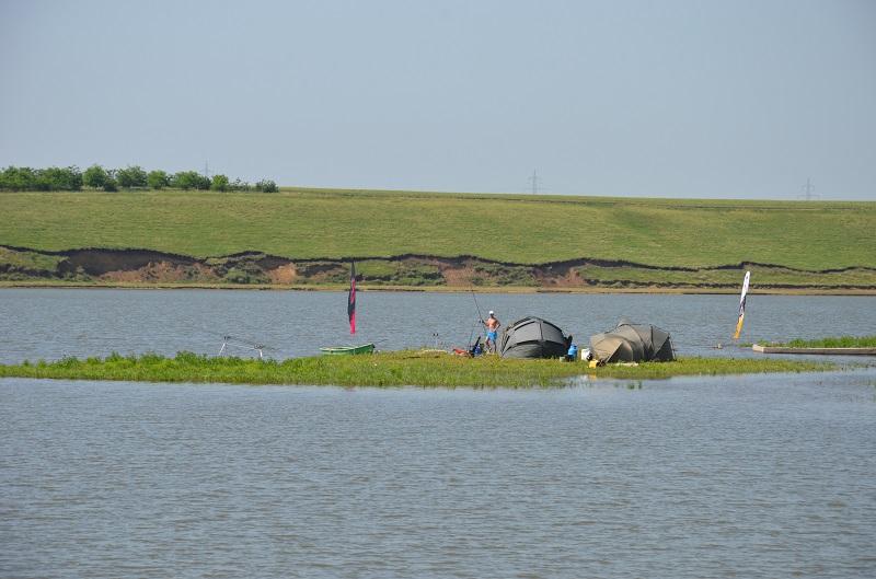 CUPA BECKER SARULESTI - pescuit-crap-sarulesti-18.JPG